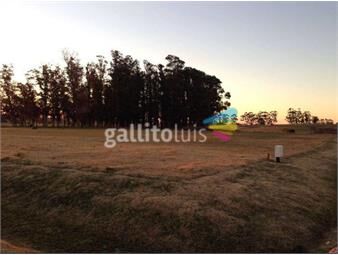 https://www.gallito.com.uy/chacra-el-quijote-inmuebles-23500815