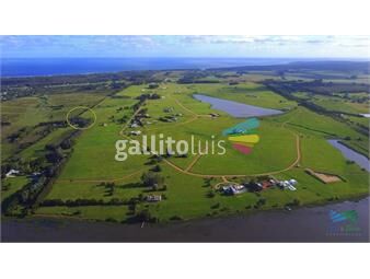 https://www.gallito.com.uy/venta-de-gran-terreno-en-laguna-de-los-cisnes-punta-ballena-inmuebles-23518390