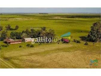https://www.gallito.com.uy/excelente-estancia-completa-agricola-ganadera-sobre-r9-y-inmuebles-22650639