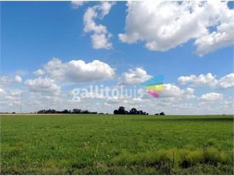 https://www.gallito.com.uy/campo-en-cufre-establecimiento-agricola-ganadero-d-inmuebles-22536236