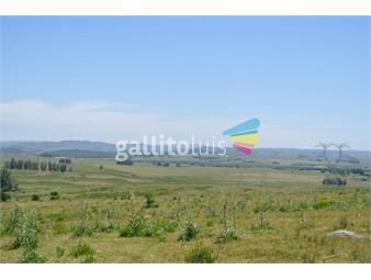 https://www.gallito.com.uy/11470-hectareas-campo-ruta-39-km-36-inmuebles-23397287