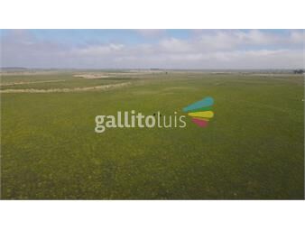 https://www.gallito.com.uy/campo-agricola-ganadero-inmuebles-20394141
