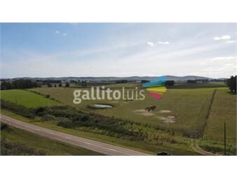https://www.gallito.com.uy/chacras-de-5ha-en-maldonado-oportunidad-inmuebles-22564096