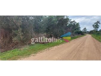 https://www.gallito.com.uy/uno-o-dos-solares-en-venta-en-oceania-del-polonio-inmuebles-23678458