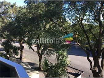 https://www.gallito.com.uy/parodi-excepcional-planta-ideal-diplomaticos-inmuebles-20806480