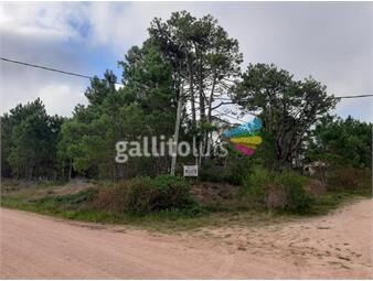 https://www.gallito.com.uy/terreno-en-punta-del-diablo-rocha-inmuebles-23505251
