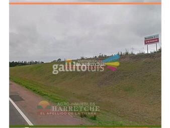 https://www.gallito.com.uy/terreno-en-alquiler-44857-m2-urbanos-ruta-5-apto-parque-i-inmuebles-22779037