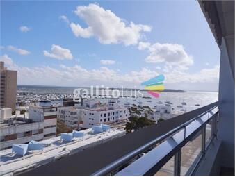 https://www.gallito.com.uy/apartamento-en-peninsula-con-balcon-vista-al-puerto-col-inmuebles-23699880