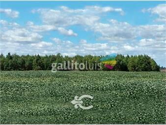 https://www.gallito.com.uy/campo-en-venta-en-san-jose-ref-2147-inmuebles-23543663
