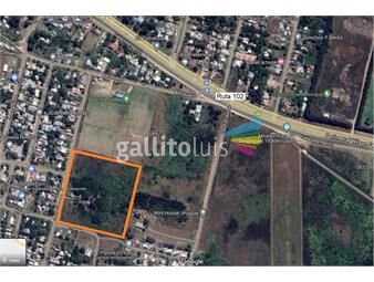 https://www.gallito.com.uy/gran-terreno-30000-m2-proximo-ruta-102-inmuebles-22549387