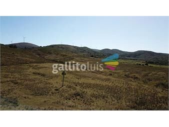 https://www.gallito.com.uy/venta-campo-50-hectareas-inmuebles-23752090