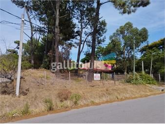 https://www.gallito.com.uy/buen-terreno-sobre-el-arroyo-pando-al-sur-inmuebles-20929875