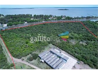 https://www.gallito.com.uy/fraccion-lote-en-carmelo-sobre-arroyo-de-las-vacas-inmuebles-22910336