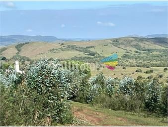 https://www.gallito.com.uy/campo-forestal-con-plantacion-ubicado-en-lavalleja-105ha-inmuebles-23846873