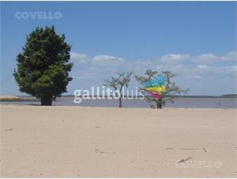 https://www.gallito.com.uy/terreno-con-vista-al-rio-puerto-deportivo-playa-de-arenas-inmuebles-23251496