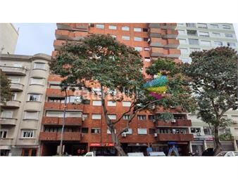 https://www.gallito.com.uy/alquiler-apartamento-1-dormitorio-piso-9-inmuebles-24134565