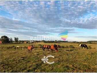 https://www.gallito.com.uy/campo-en-lavalleja-ref-8518-inmuebles-22699801