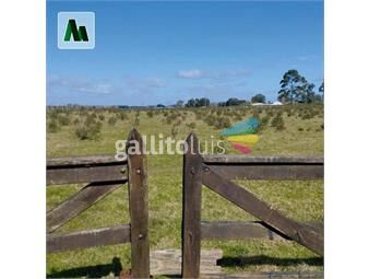 https://www.gallito.com.uy/3-hectareas-prox-a-estacion-atlantida-inmuebles-24185005