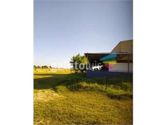 https://www.gallito.com.uy/chacra-casa-de-campo-alquiler-5-dormitorios-1-hectãârea-d-inmuebles-24233274