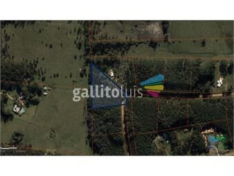 https://www.gallito.com.uy/venta-de-terreno-de-10000-m2-en-laguna-del-diario-punta-de-inmuebles-23886686