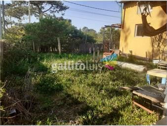 https://www.gallito.com.uy/casa-en-pinar-sur-a-metros-del-mar-inmuebles-24272036