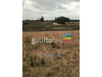 https://www.gallito.com.uy/campo-en-estacion-solis-inmuebles-14440327