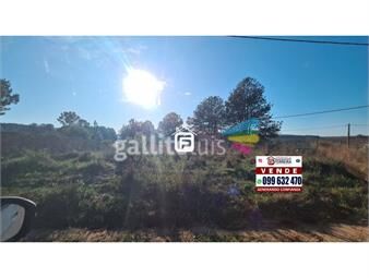 https://www.gallito.com.uy/vende-–terreno-de-351-m²-lagos-del-norte-rivera-inmuebles-24323559