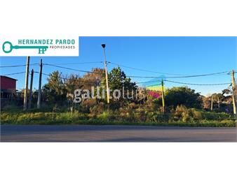 https://www.gallito.com.uy/dos-terrenos-contiguos-en-venta-vende-juntos-o-separados-inmuebles-23996389