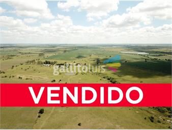 https://www.gallito.com.uy/campo-de-376-has-agricola-ganadero-inmuebles-22481378