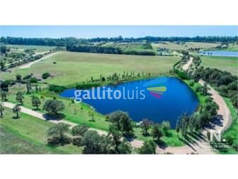 https://www.gallito.com.uy/terreno-de-6-978-m2-en-laguna-estates-inmuebles-24487242