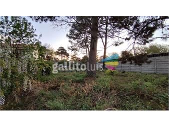 https://www.gallito.com.uy/venta-terreno-pinar-sur-proximo-a-servicios-inmuebles-24471685