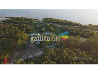 https://www.gallito.com.uy/venta-solar-sobre-rio-de-la-plata-exclusivo-bosque-de-pin-inmuebles-23251706