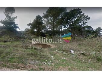 https://www.gallito.com.uy/venta-terreno-rincon-del-indio-punta-del-este-inmuebles-22346335