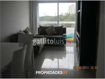 https://www.gallito.com.uy/edificio-con-amenities-piso-alto-1-dorm-inmuebles-21601332