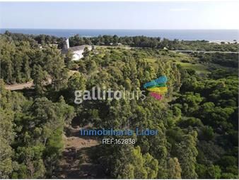 https://www.gallito.com.uy/terreno-en-altos-de-playa-verde-inmuebles-23700262