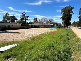 https://www.gallito.com.uy/venta-o-alquiler-terreno-sobre-giannattasio-ideal-empresa-inmuebles-24344934