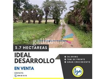 https://www.gallito.com.uy/venta-terreno-carrasco-norte-ideal-desarrollo-37-hectareas-inmuebles-24721438