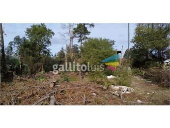 https://www.gallito.com.uy/venta-terreno-neptunia-inmuebles-20859115