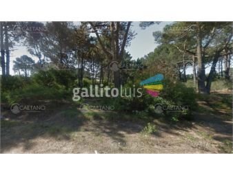 https://www.gallito.com.uy/venta-terreno-chihuhuha-150-metros-al-mar-inmuebles-24749550