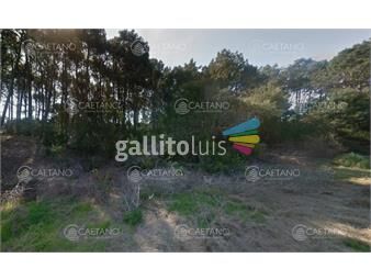 https://www.gallito.com.uy/excelente-terreno-con-1000-metros-cuadrados-ubicado-a-250-m-inmuebles-24749552