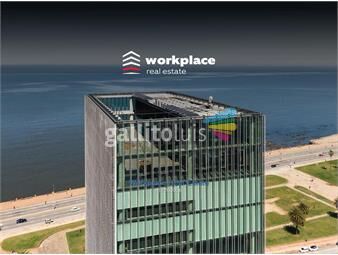 https://www.gallito.com.uy/alquiler-oficina-edificio-clase-aaa-inmuebles-19826841