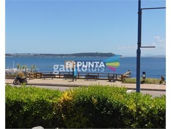https://www.gallito.com.uy/punta-del-este-peninsula-3-suites-apto-con-jardin-500-metro-inmuebles-23265613