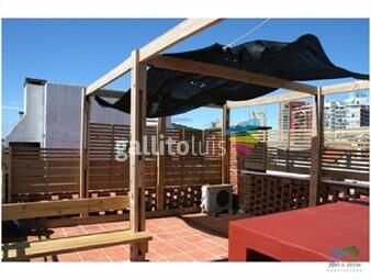 https://www.gallito.com.uy/en-venta-mono-ambiente-con-gran-terraza-con-parrillero-pr-inmuebles-22537169