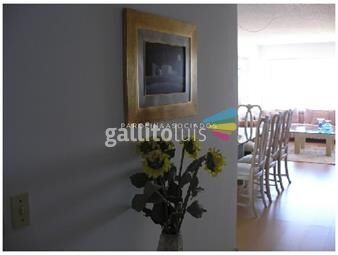 https://www.gallito.com.uy/apartamento-en-primera-linea-inmuebles-19576612