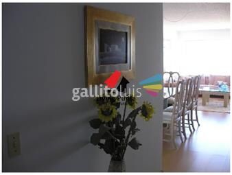 https://www.gallito.com.uy/apartamento-en-primera-linea-inmuebles-24122576