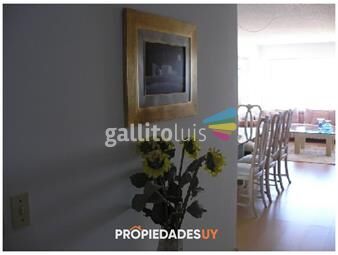 https://www.gallito.com.uy/apartamento-en-primera-linea-inmuebles-22044896
