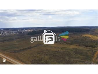 https://www.gallito.com.uy/vende-20-hectareas-fraccionables-de-terreno-suburbano-ri-inmuebles-23613374