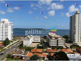 https://www.gallito.com.uy/peninsula-muy-buena-vista-inmuebles-24893827