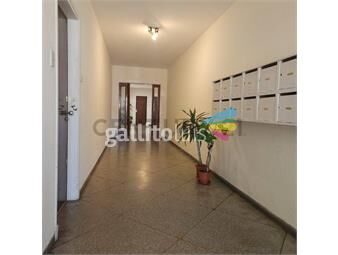 https://www.gallito.com.uy/alquiler-de-hermoso-apartamento-en-mailvin-inmuebles-24896361