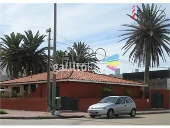 https://www.gallito.com.uy/casa-en-peninsula-3-dormitorios-inmuebles-23302624